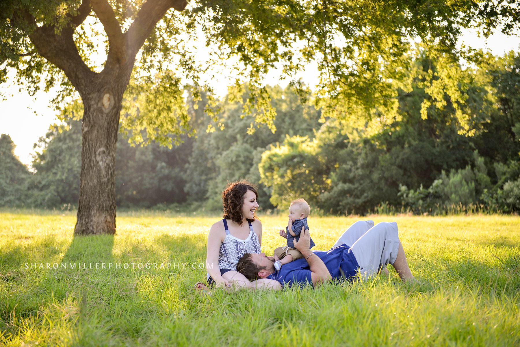 family of three with baby in grass under a large tree in golden light; photo by Lewisville family photographer Sharon Miller