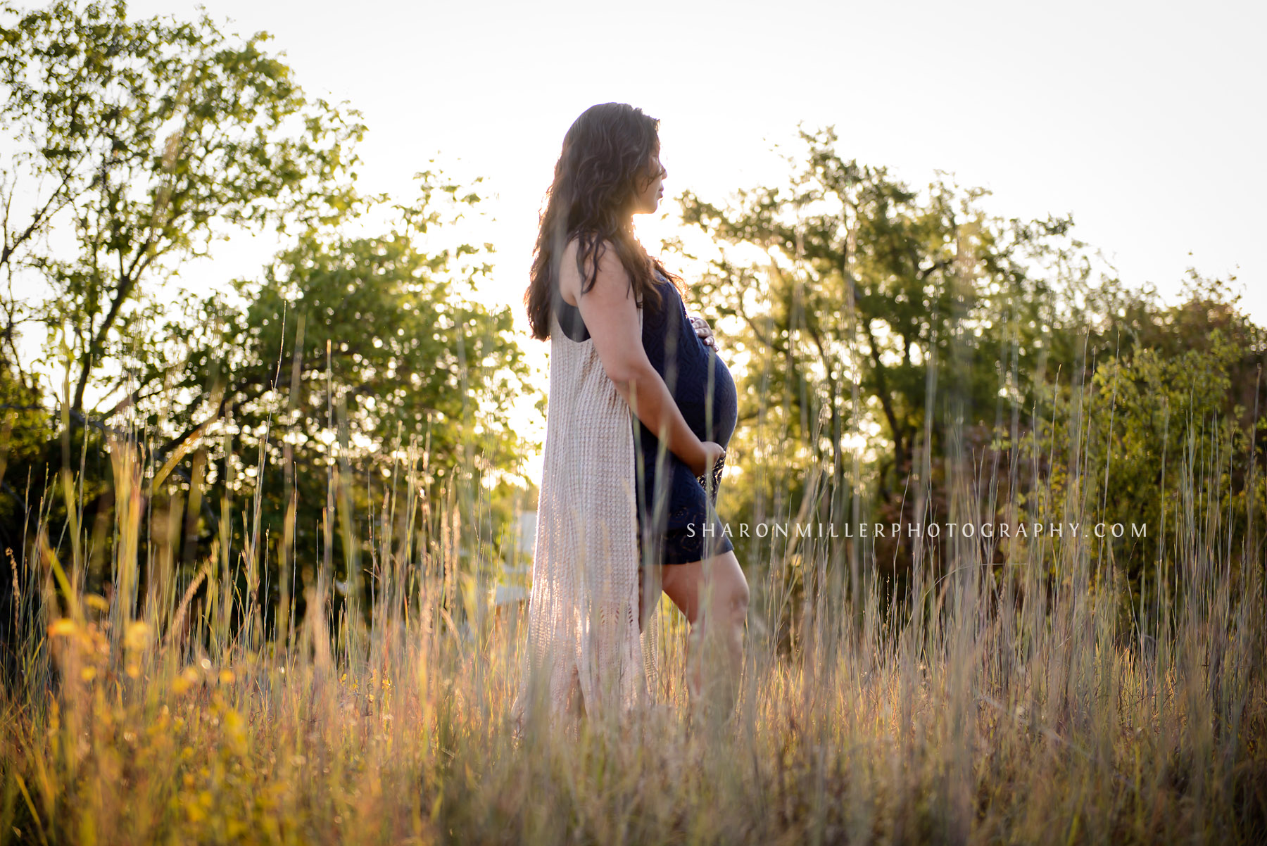 boho chic maternity session in a field of golden grass