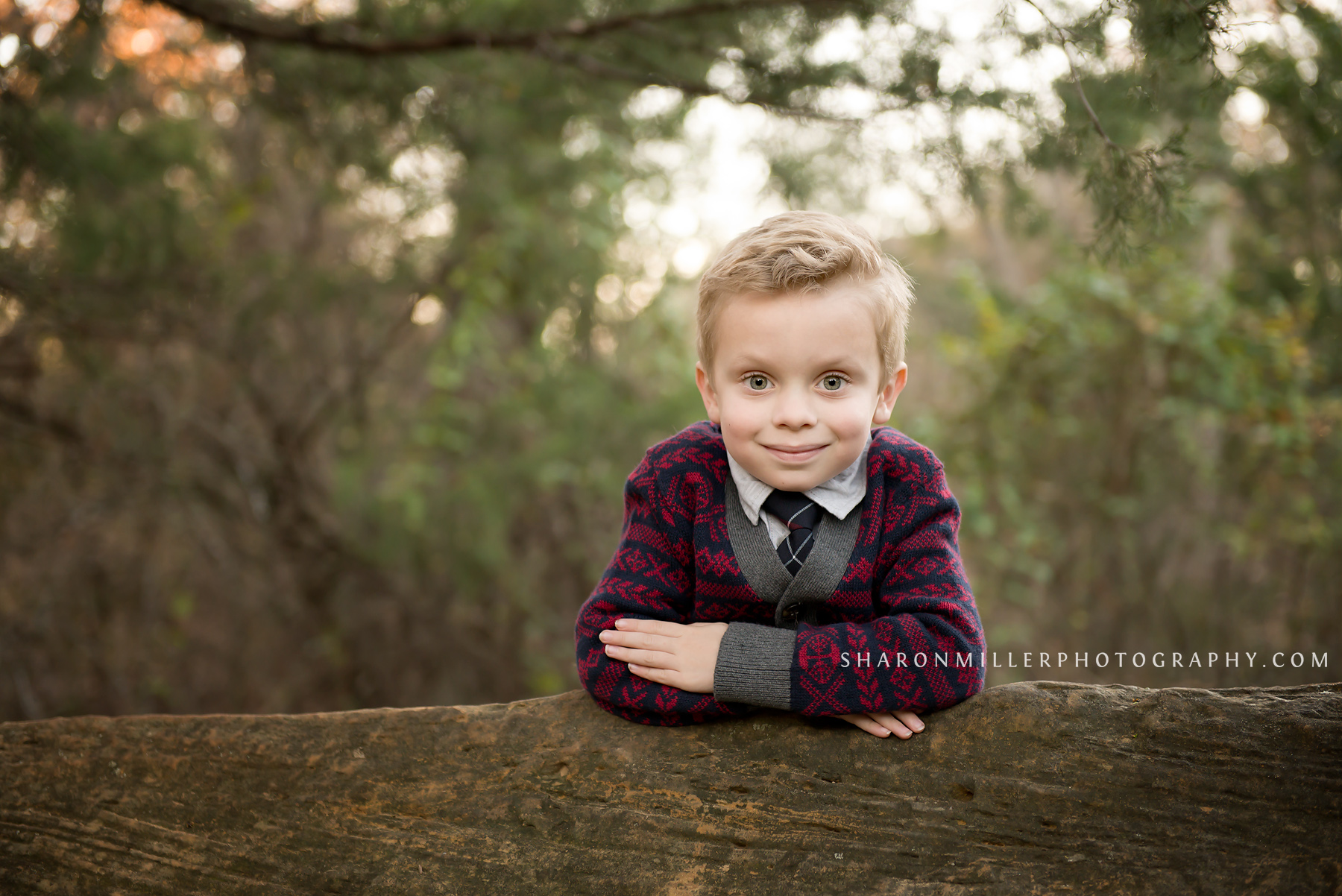 portrait of boy by Flower Mound family photographer Sharon Miller