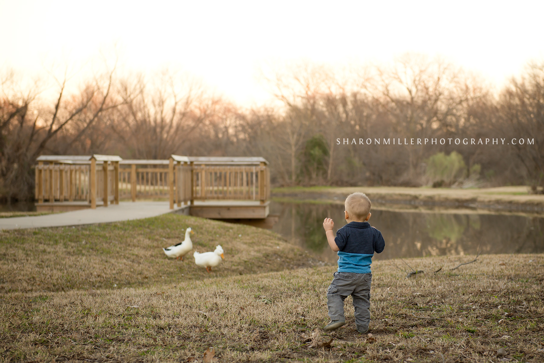 one year old chasing ducks at Colleyville Nature Center pond